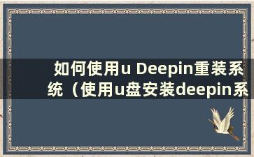 如何使用u Deepin重装系统（使用u盘安装deepin系统教程）